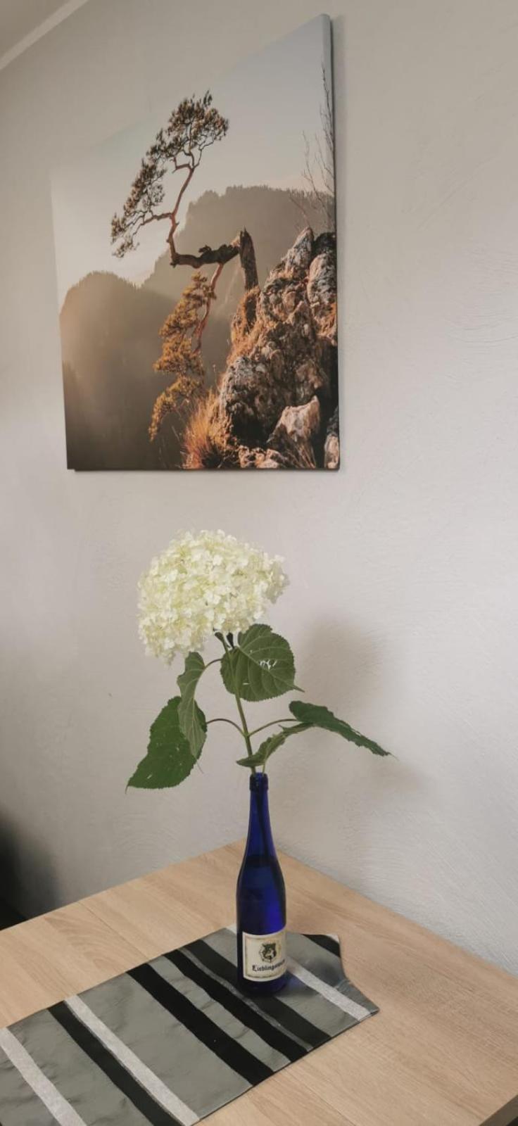 Apartamenty Hejszowina Kudowa-Zdrój Extérieur photo