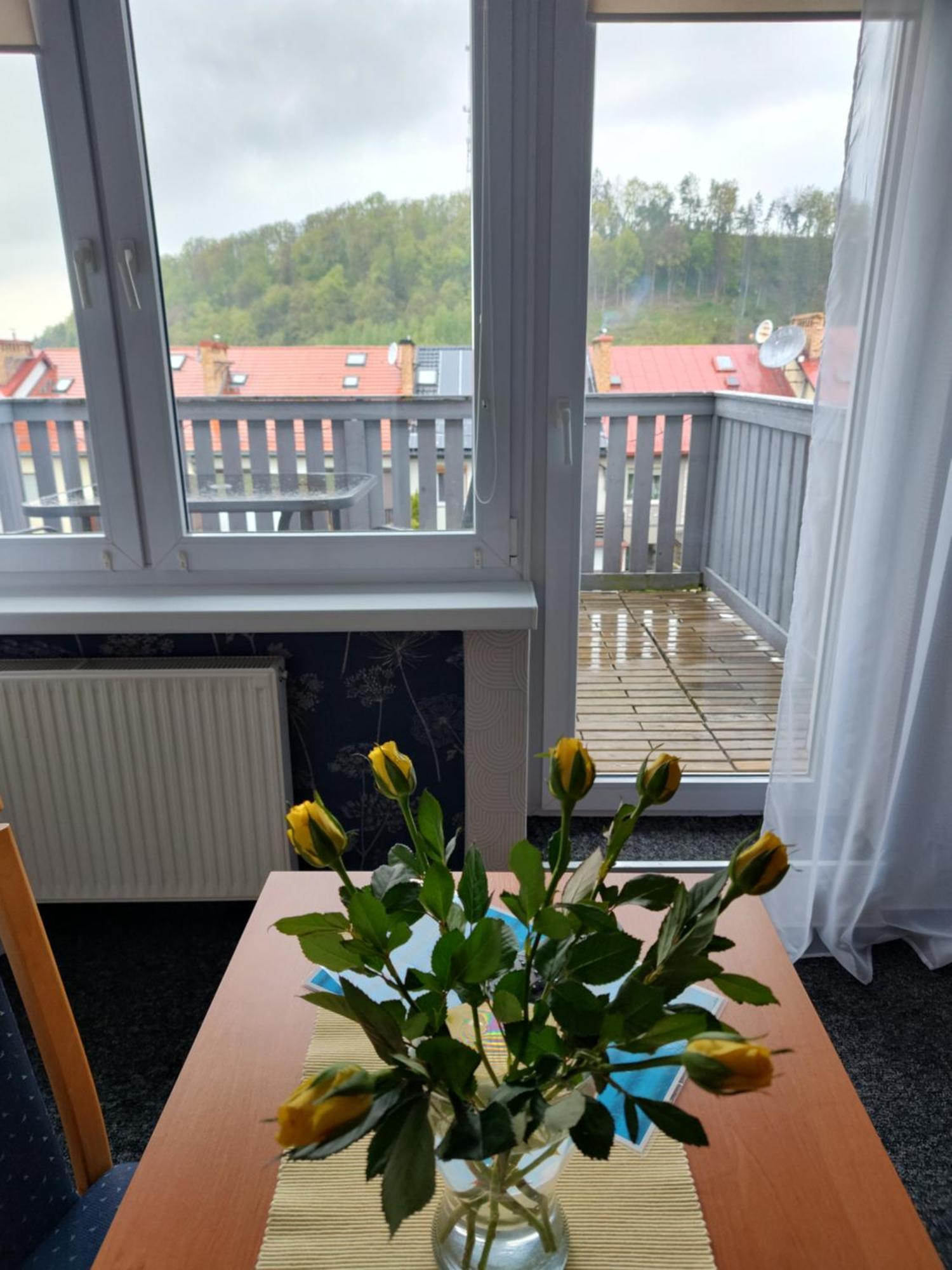 Apartamenty Hejszowina Kudowa-Zdrój Extérieur photo