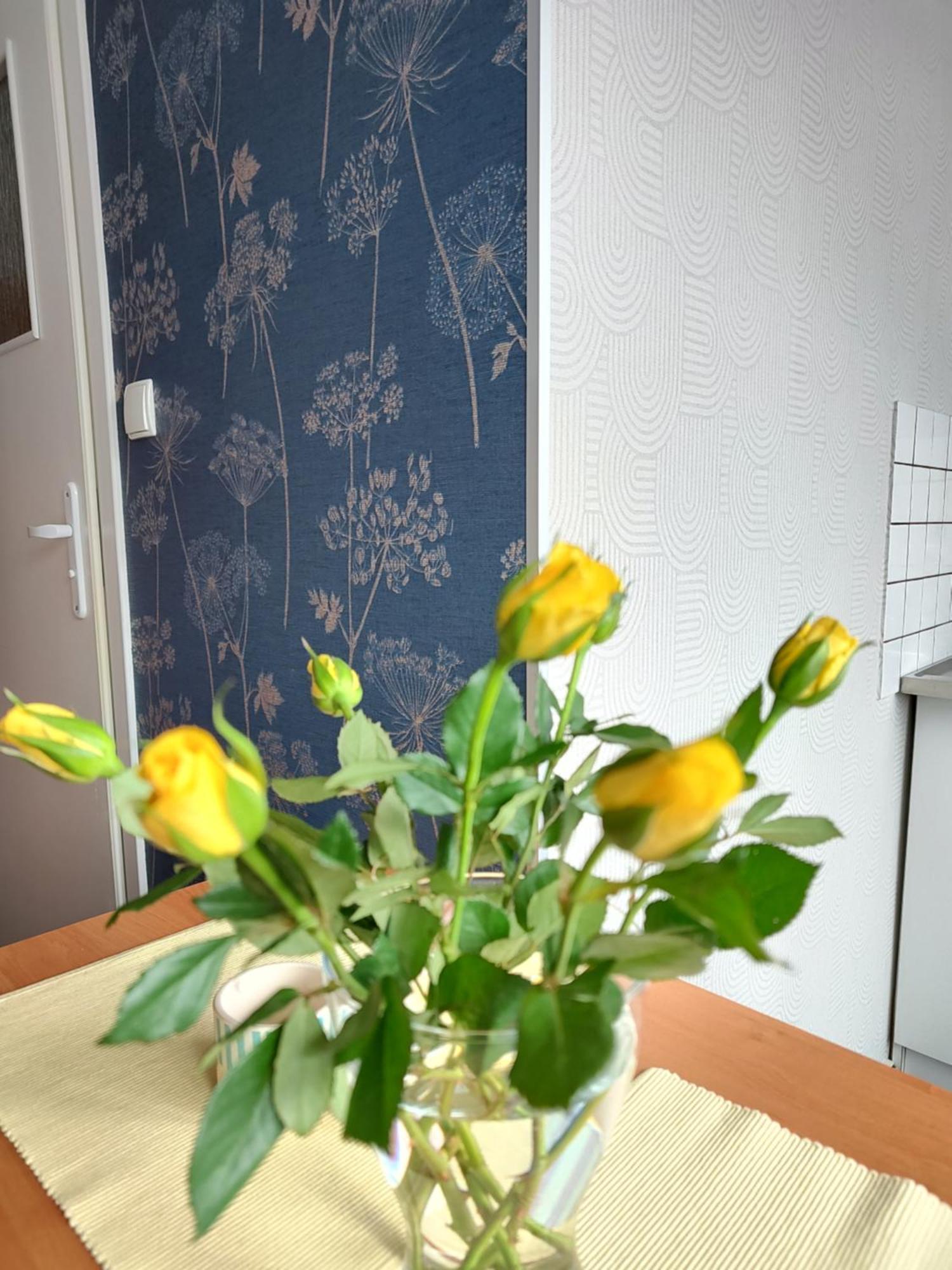 Apartamenty Hejszowina Kudowa-Zdrój Extérieur photo
