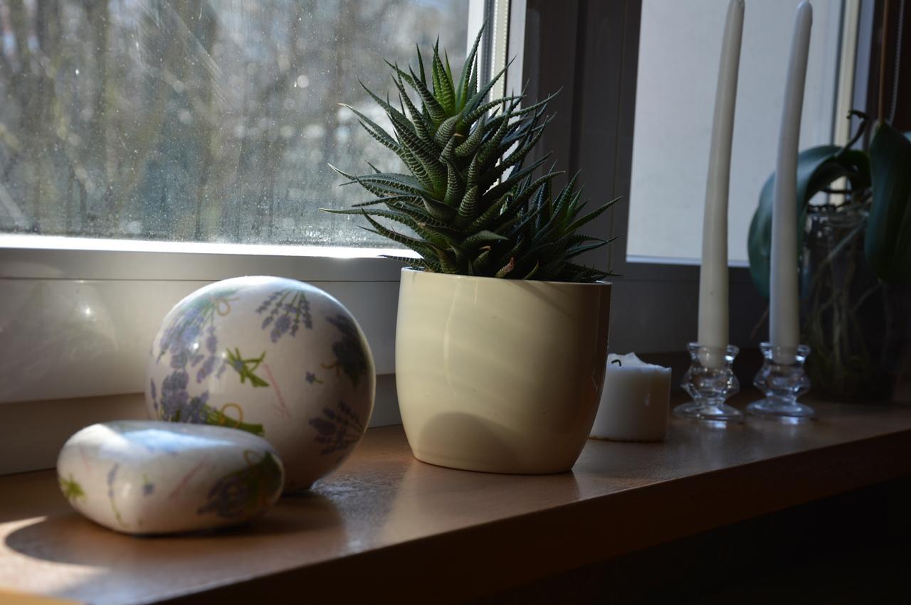 Apartamenty Hejszowina Kudowa-Zdrój Extérieur photo